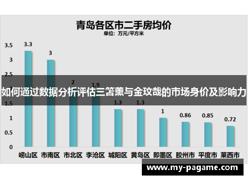 如何通过数据分析评估三笘薰与金玟哉的市场身价及影响力 如何通过数据分析评估三笘薰与金玟哉的市场身价及影响力