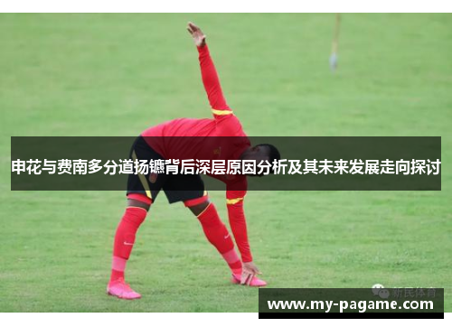 申花与费南多分道扬镳背后深层原因分析及其未来发展走向探讨 申花与费南多分道扬镳背后深层原因分析及其未来发展走向探讨