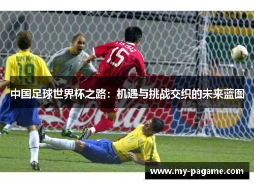 中国足球世界杯之路:机遇与挑战交织的未来蓝图 中国足球世界杯之路:机遇与挑战交织的未来蓝图