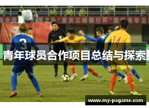 青年球员合作项目总结与探索 青年球员合作项目总结与探索