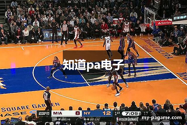 知道pa电子